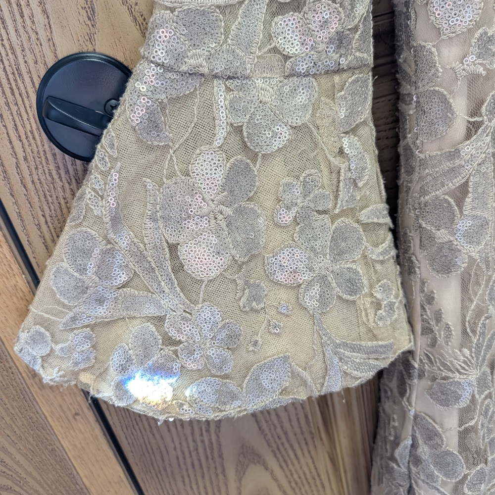 Badgley Mischka Ivory and Silver Floral Lace Wedding Dress - Picture 4 of 8